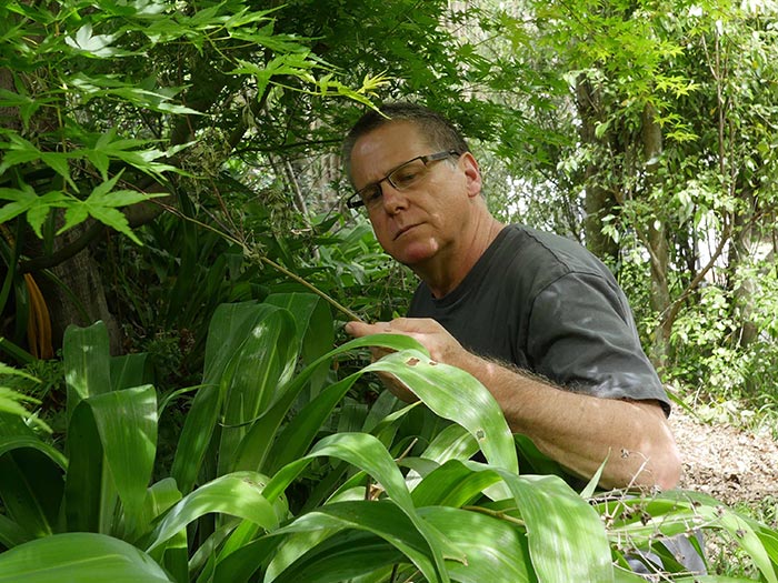 Author among plants