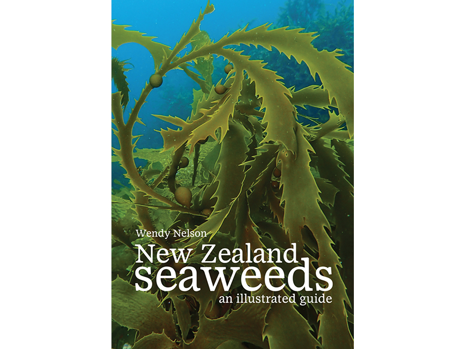 New Zealand Seaweeds: An Illustrated Guide