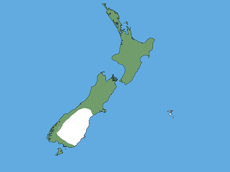 Map of New Zealand on a blue background with most of the country coloured green except the Otago and South Canterbury regions on the lower east side of the south island..