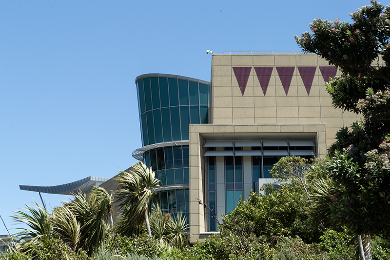 View of Te Papa Tongarewa surrounded by trees on a sunny day