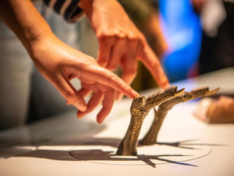 Children touching models of kiwi feet