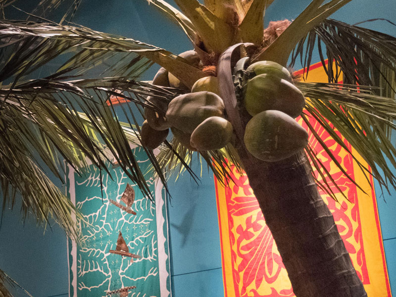 palm-trees-pacific-tepapa-800x600.jpg