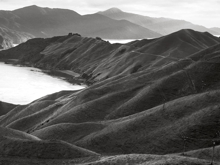 Te Kawau-a-toru (The pet shag of Kupe) French Pass, Marlborough, 2002 by Michael Hall