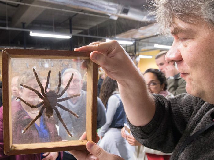 Tory Street Open Day, 2015. Photograph by Kate Whitley. Te Papa