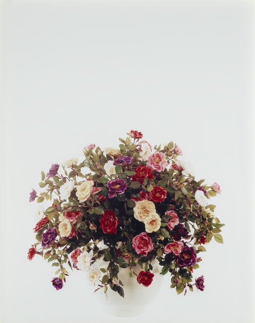 Colourful array of flowers in a vase