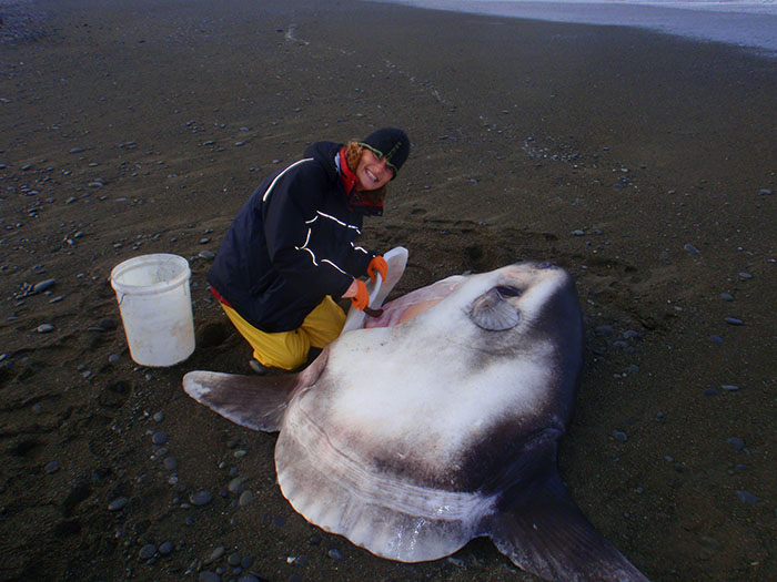 Woman poses with a stunfish