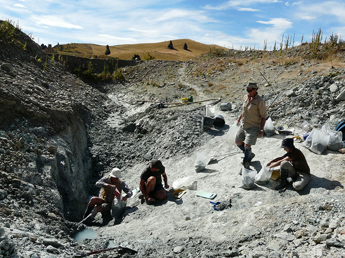 Group of people excavating