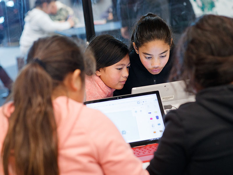 Four students are busy at work on their computers