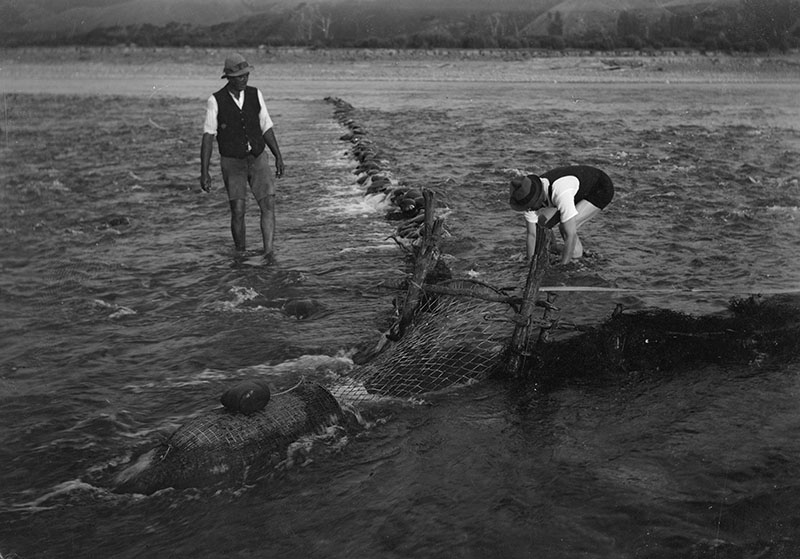 Two men fish with an eel trap. Blocks have been put up in the water to guide the eel into the trap