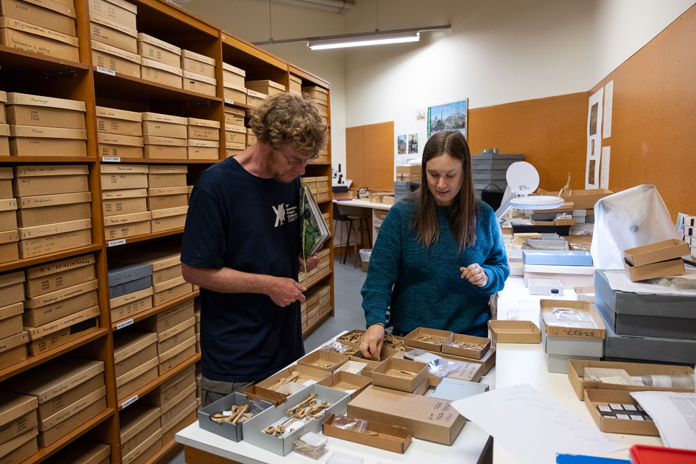 A man and a woman stand over a table of bones in boxes