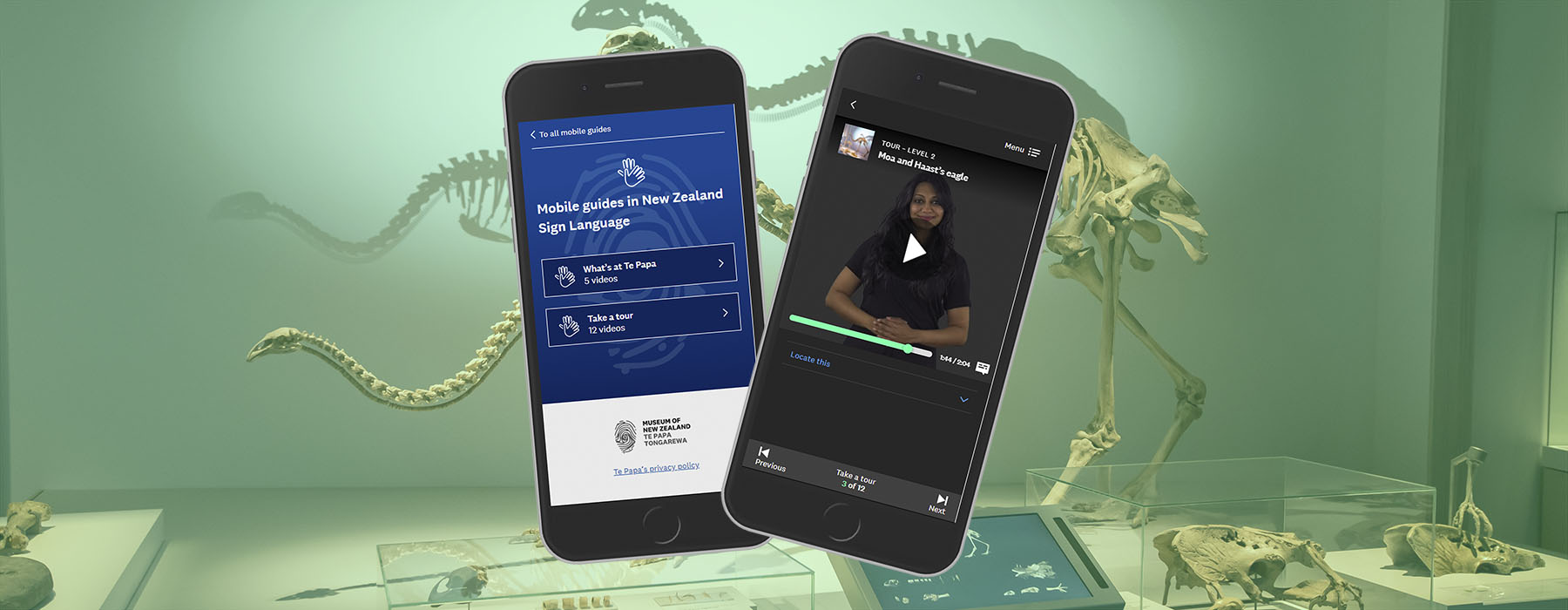 Two mobile phones displaying the Te Papa NZSL mobile guide is superimposed onto a photo of the moa skeletons on display at Te Papa