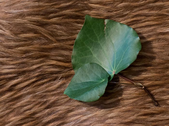 Detail from repatriation ceremony, Te Papa, 2014. Photography by Michael Hall. Te Papa