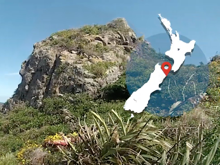 A sunny day with a large rock covered in plants in the foreground. There's a map of New Zealand overlaid on the image on the top right-hand side.