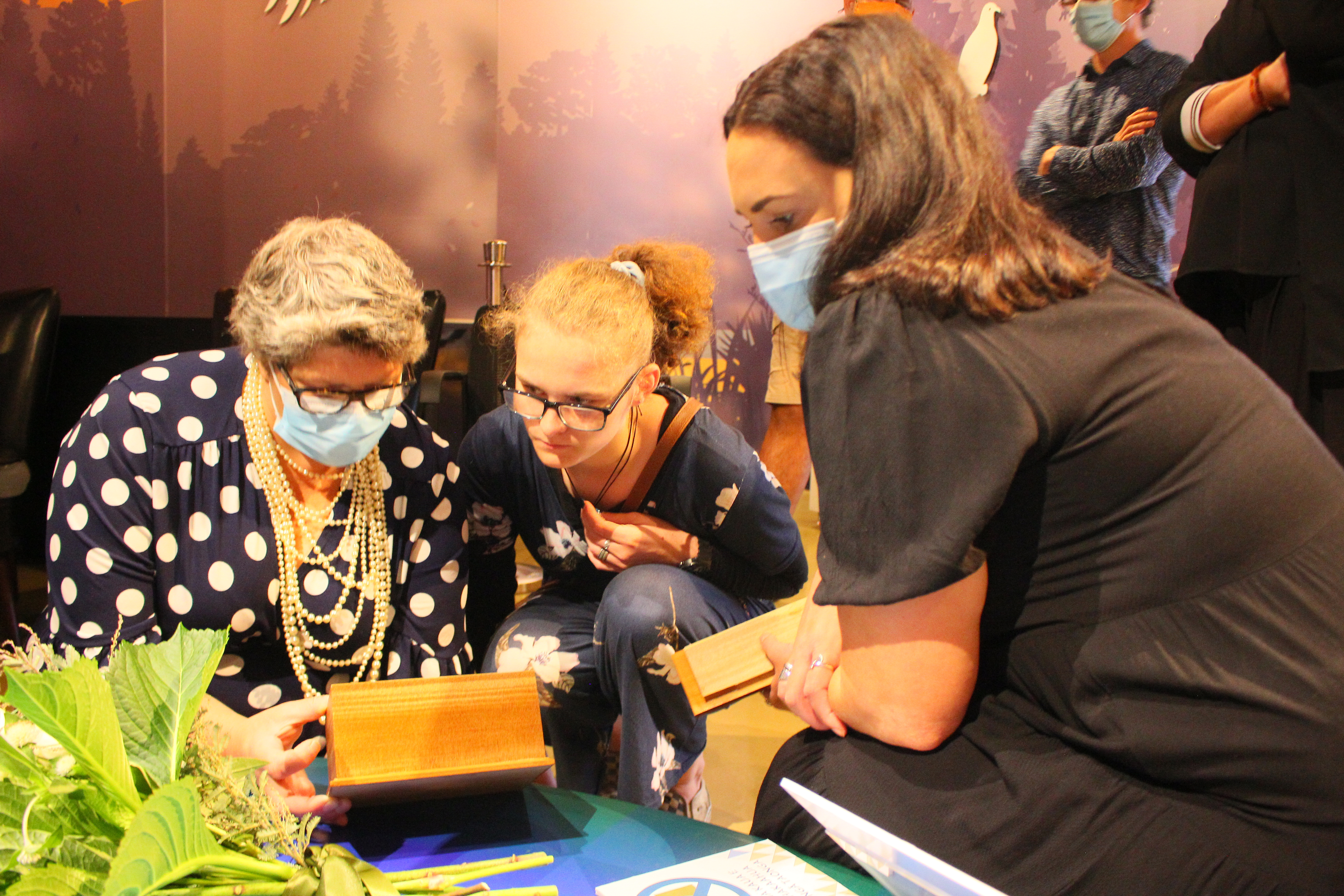 Photos of staff at Te Awamutu Museum looking at the remains of Walter Herford