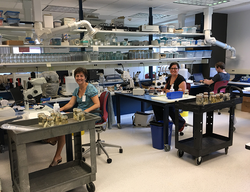 Two women sitting at desks in a science lab are looking at the camera and smiling. There is also a man in the background with his back to the camera.