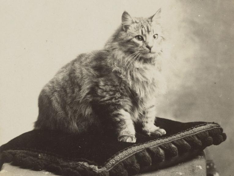 Black and white photo of a car sitting on a ornate cushion