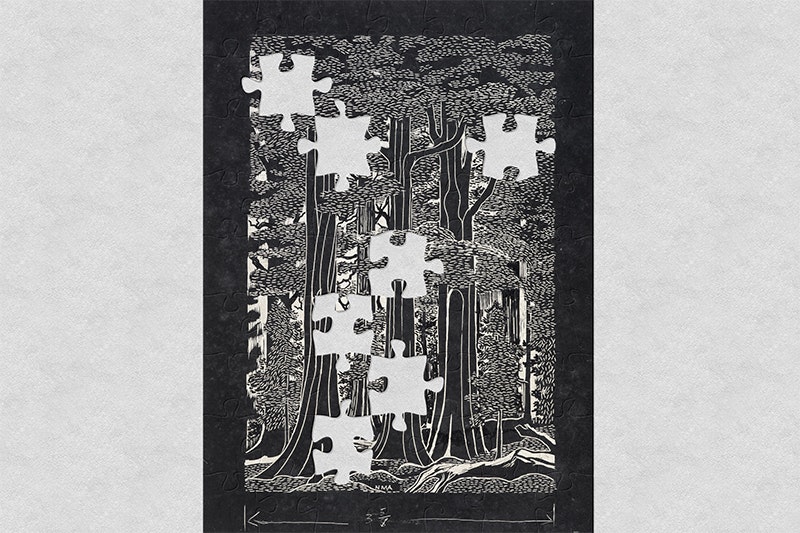 An image of a black and white wood cut of a forest scene with jigsaw shapes missing from it.